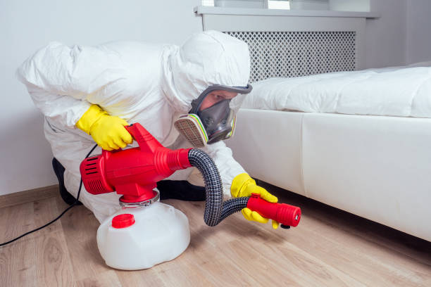 Reliable Elkton, VA Pest Control Solutions