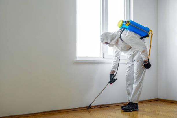 Pest Control Cost in Elkton, VA