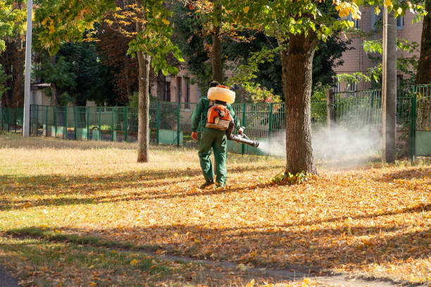 Best Pest Removal Services  in Elkton, VA