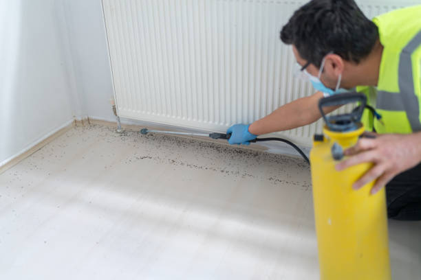 Best Exterminator Services  in Elkton, VA